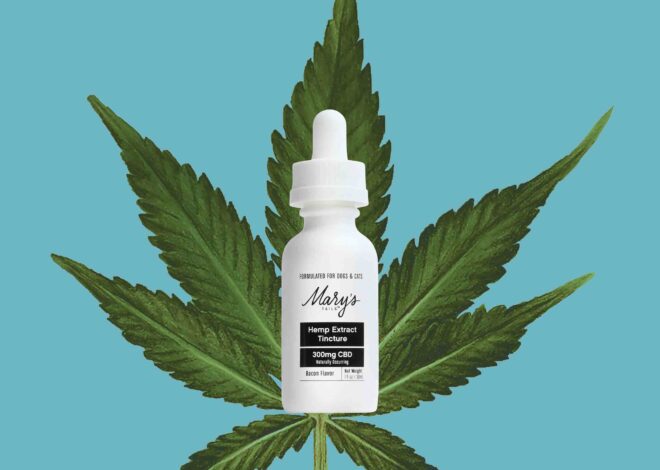 Mary’s Tails Hemp Extract Tincture