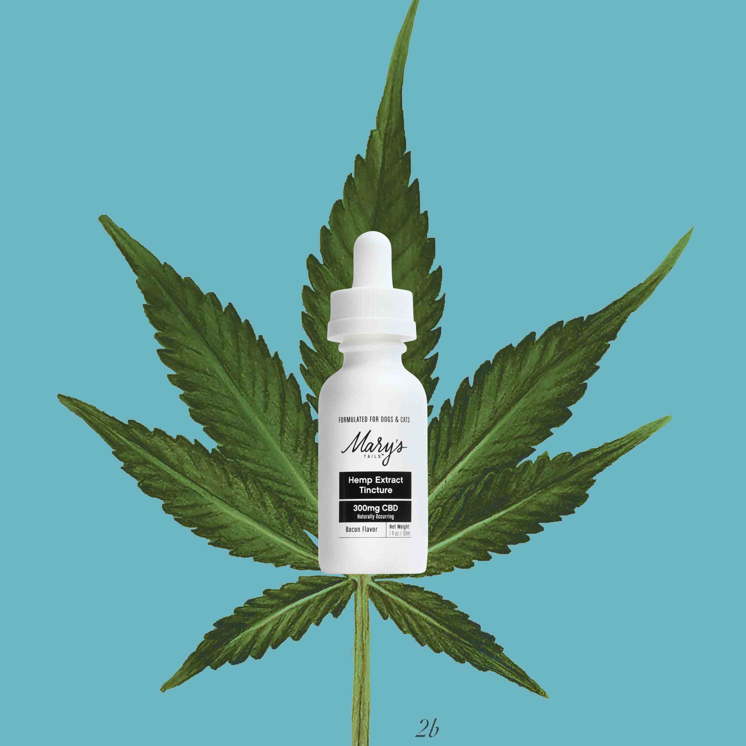 Mary's Tails Hemp Extract Tincture